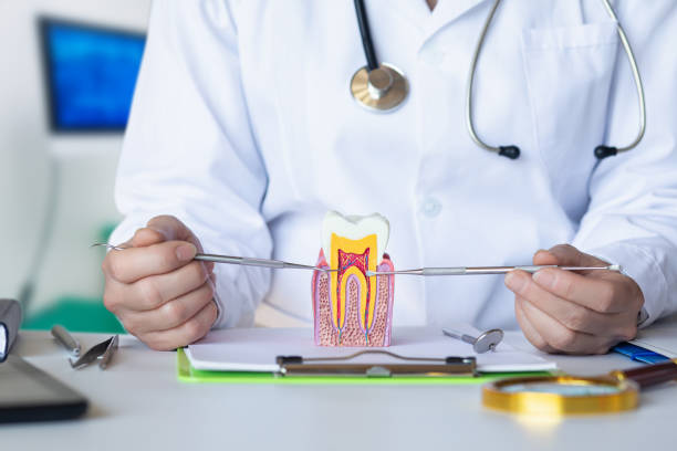 Best Emergency Broken Tooth Repair in Shady Side, MD